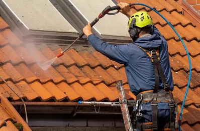 Démoussage et hydrofuge de toiture à Sanguinet